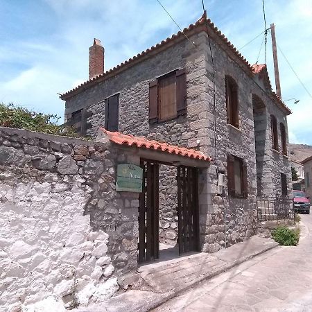 Villa Notia Skála Eresoú Exteriér fotografie